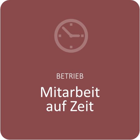 Mitarbeit auf Zeit