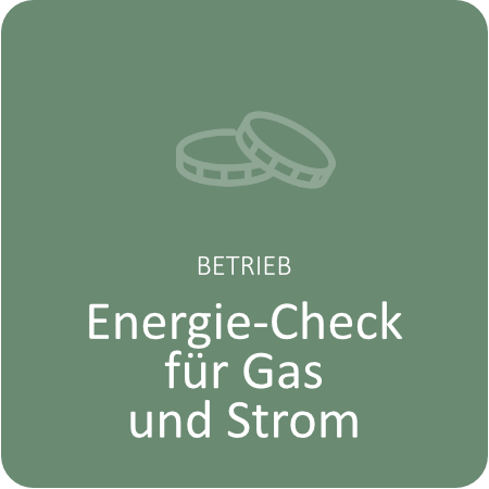 Energie-Check für Gas und Strom