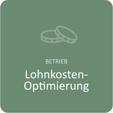 Lohnkosten-Optimierung